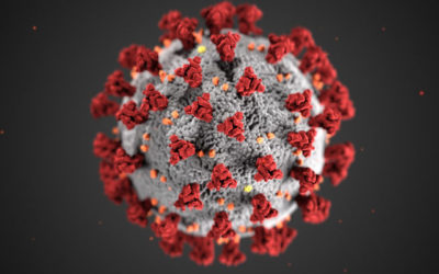 Buerer Computer Consulting aids businesses during Covid-19 epidemic
